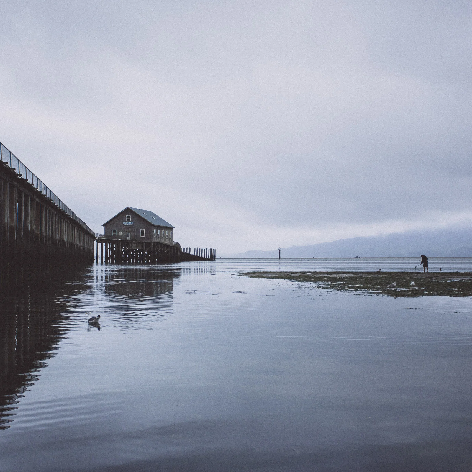 Clamming for bay clams in Garabaldi, OR.