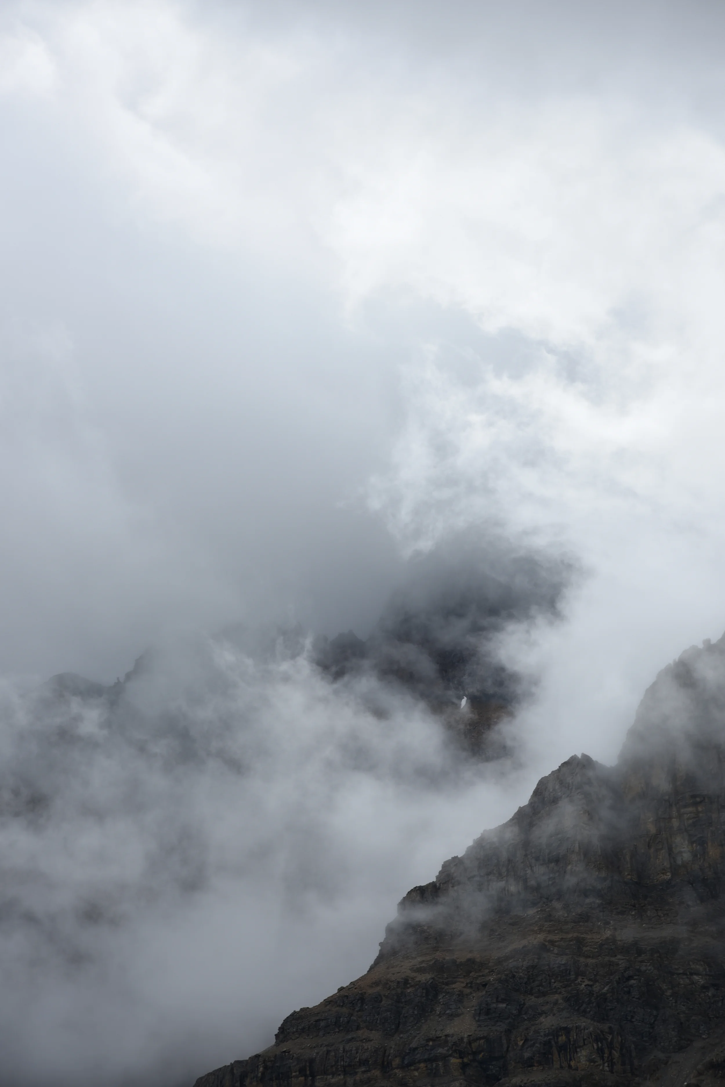 DSC_2821.JPG
