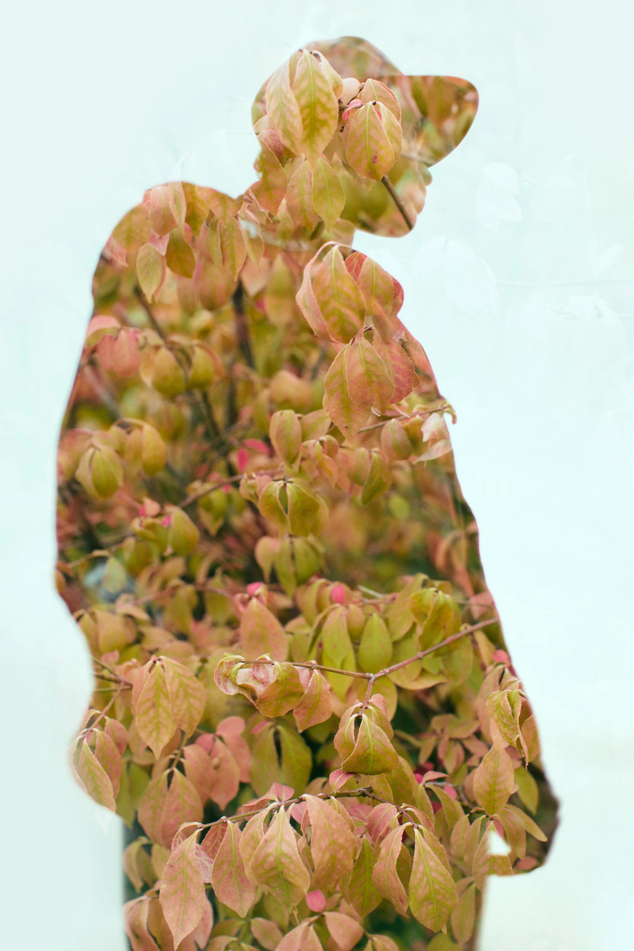 3S1B3967 copy.jpg