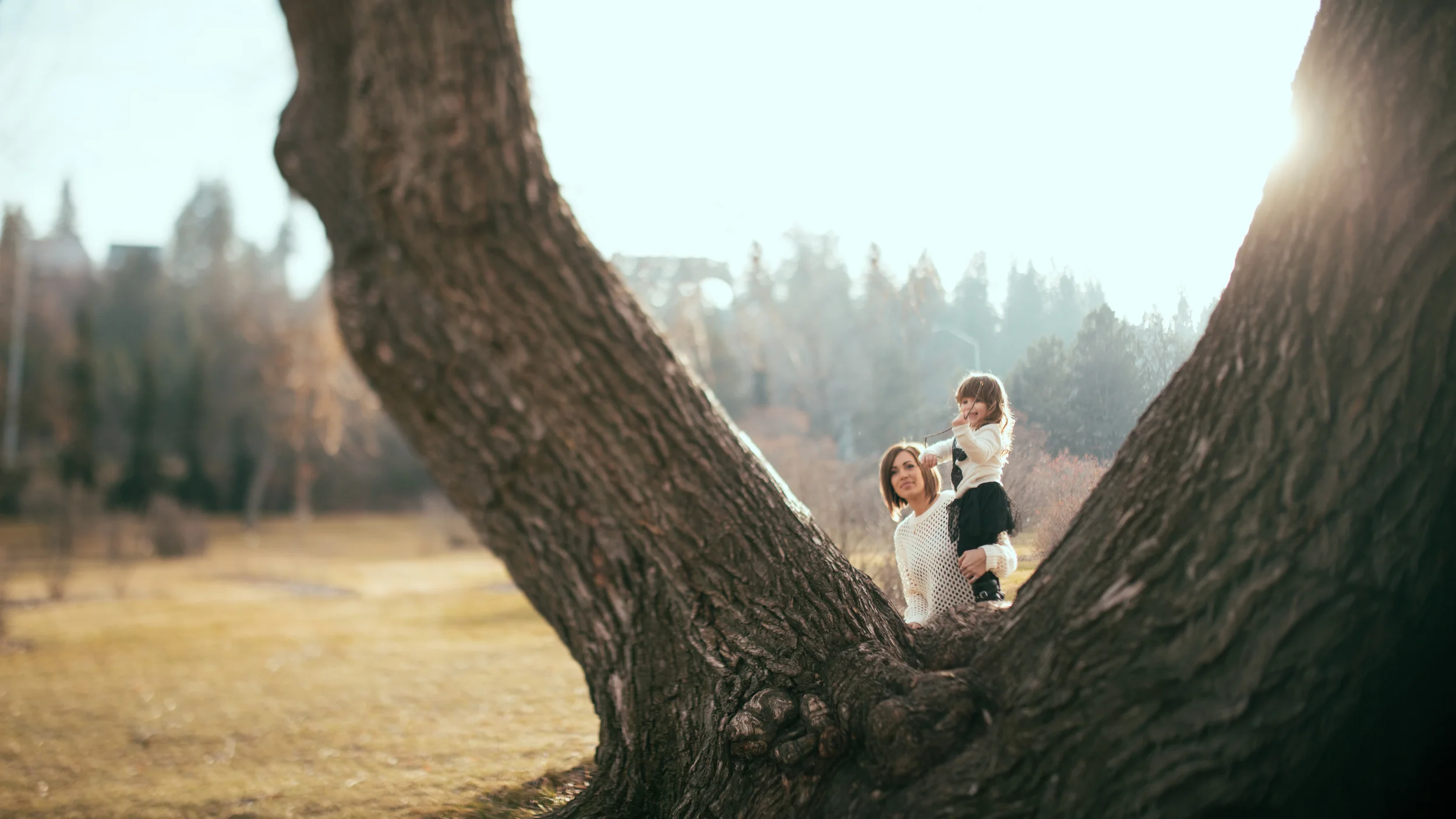 3S1B2421-Edit.jpg
