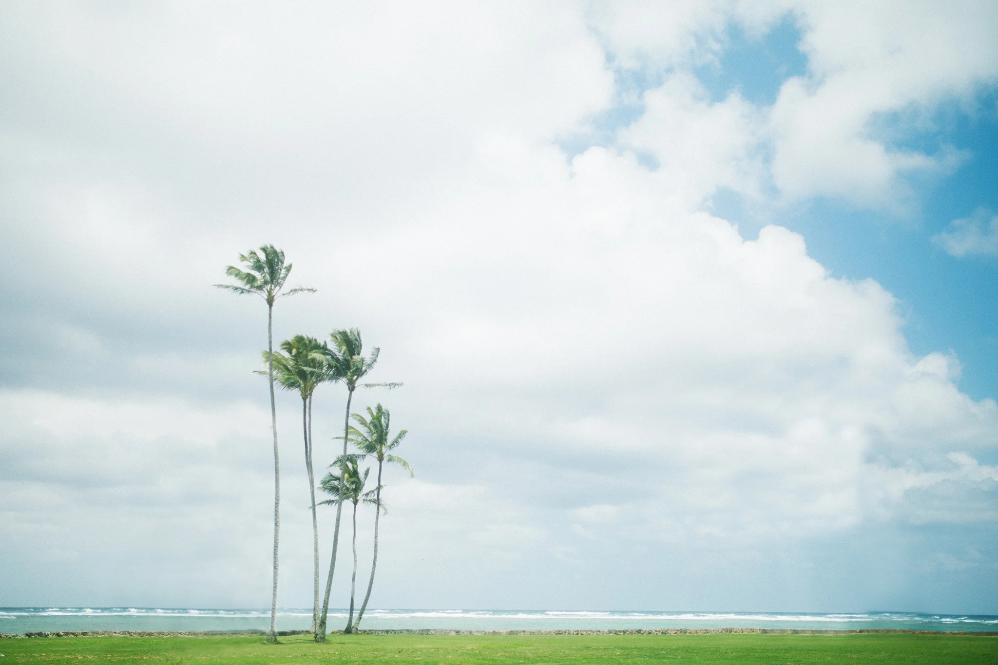 3S1B9717-Edit.jpg