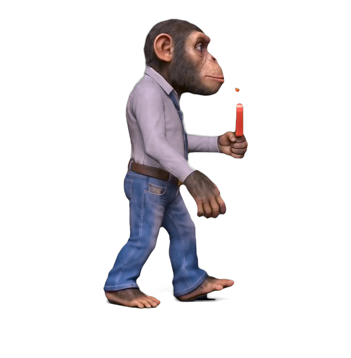 monkey01.0162.png