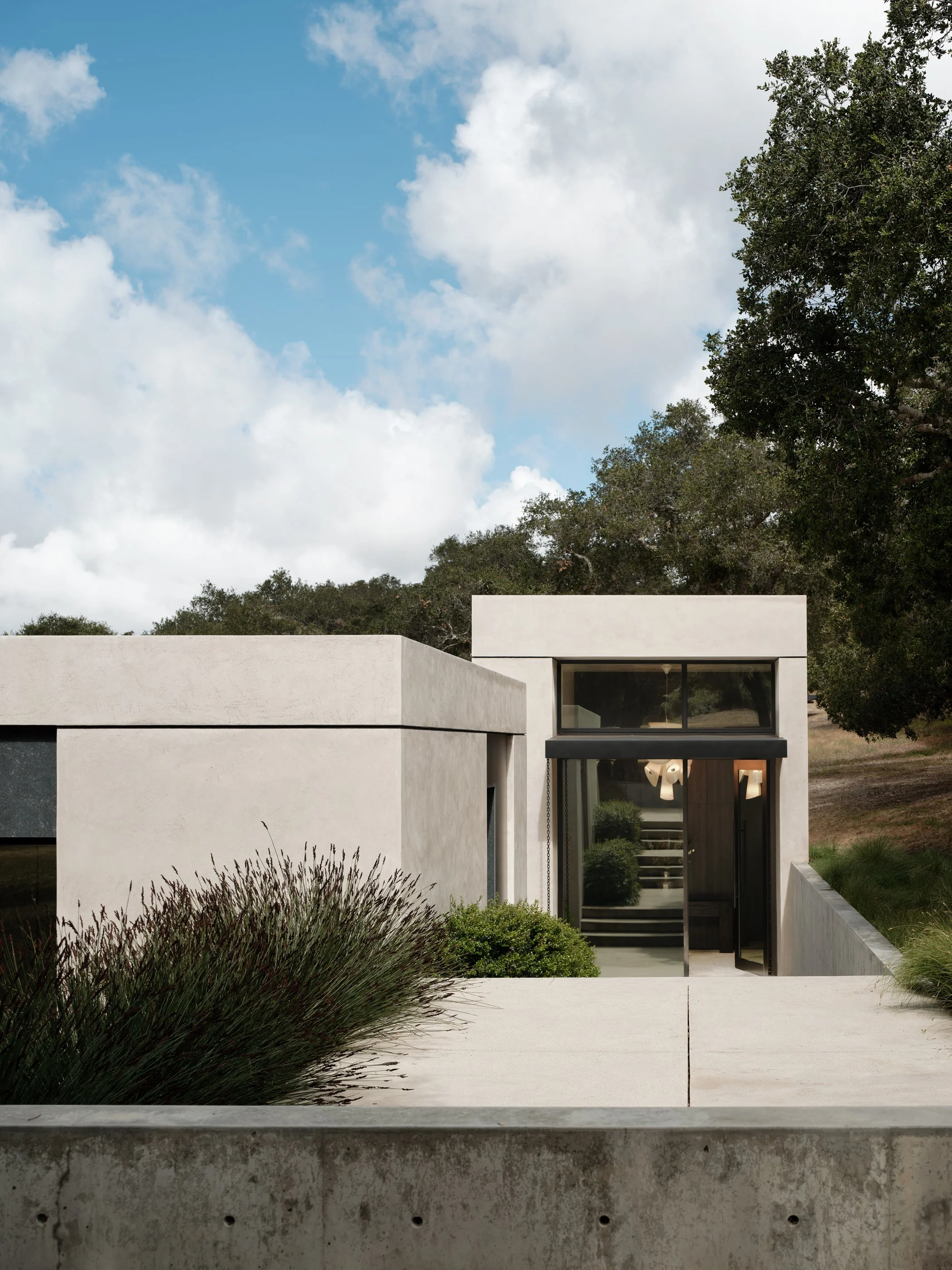 Live Oak 8.jpg