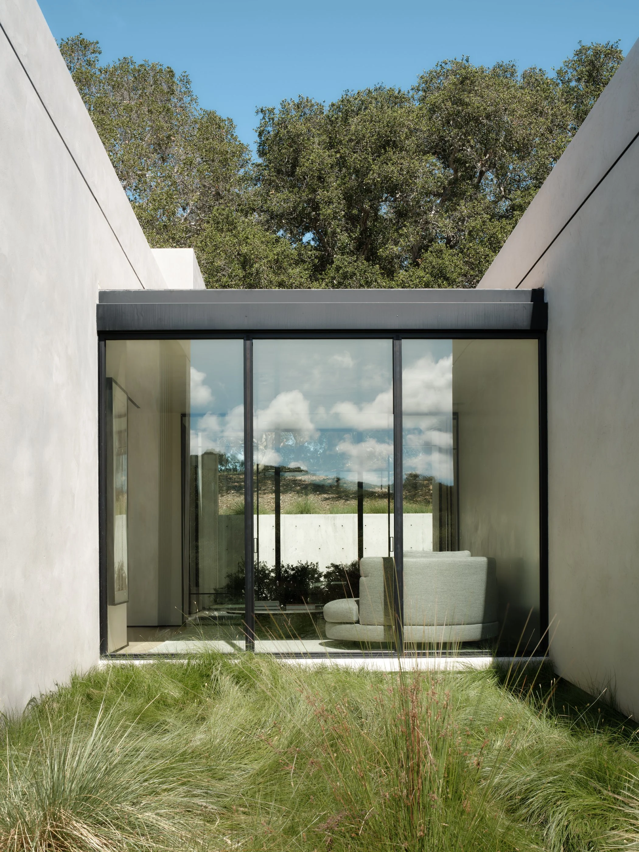 Live Oak 12.jpg
