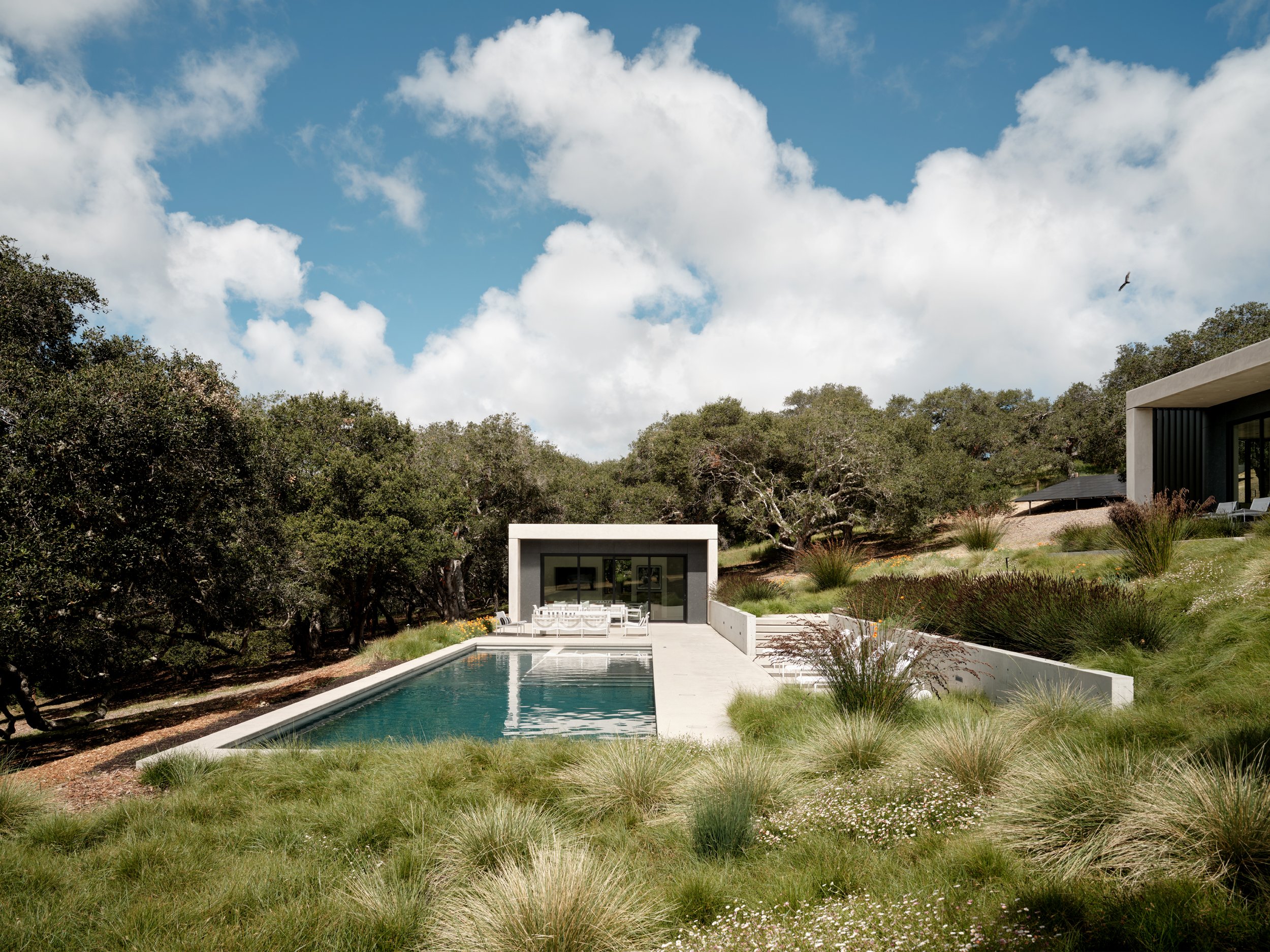 Live Oak 9.jpg