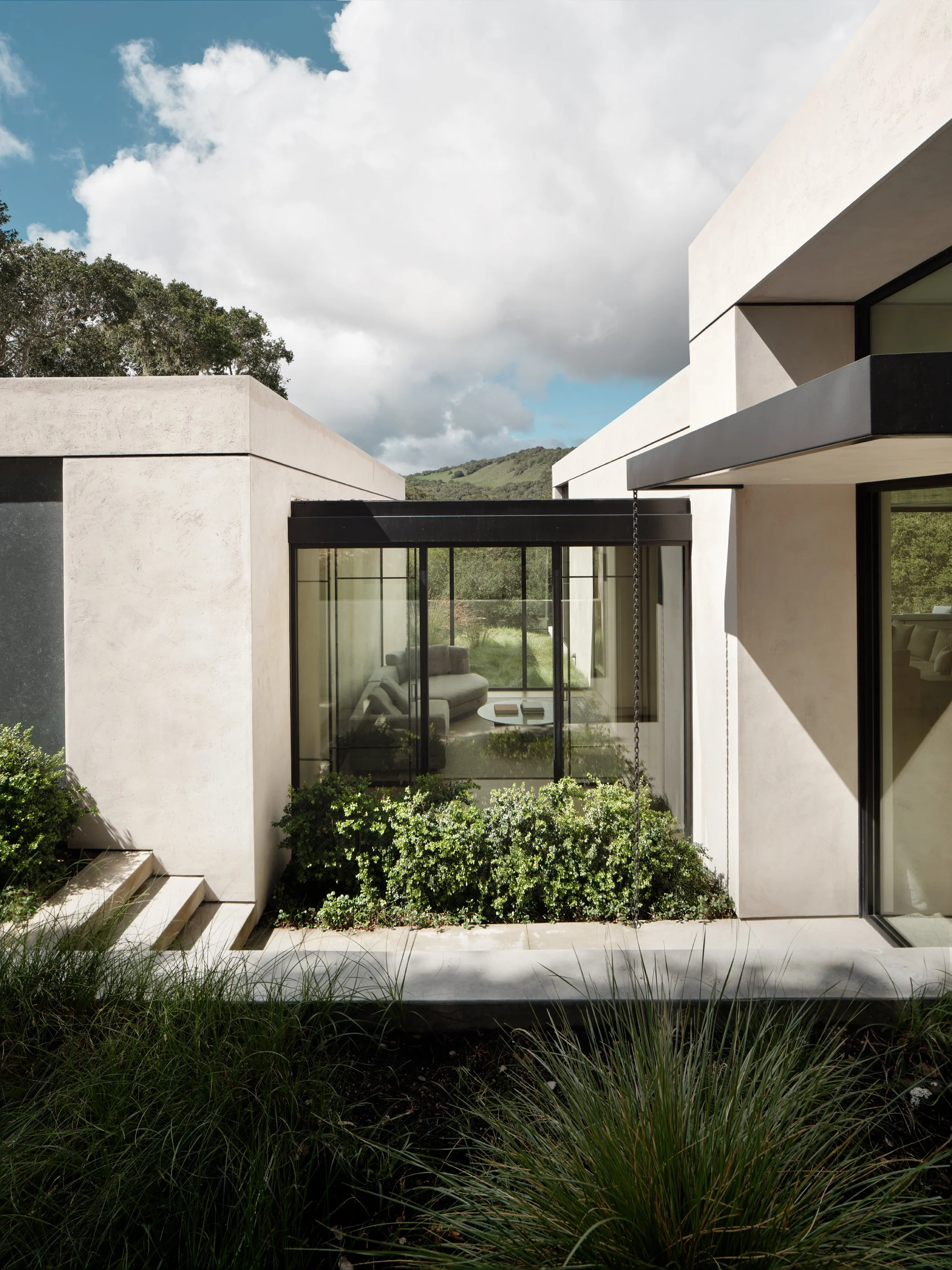Live Oak 7.jpg