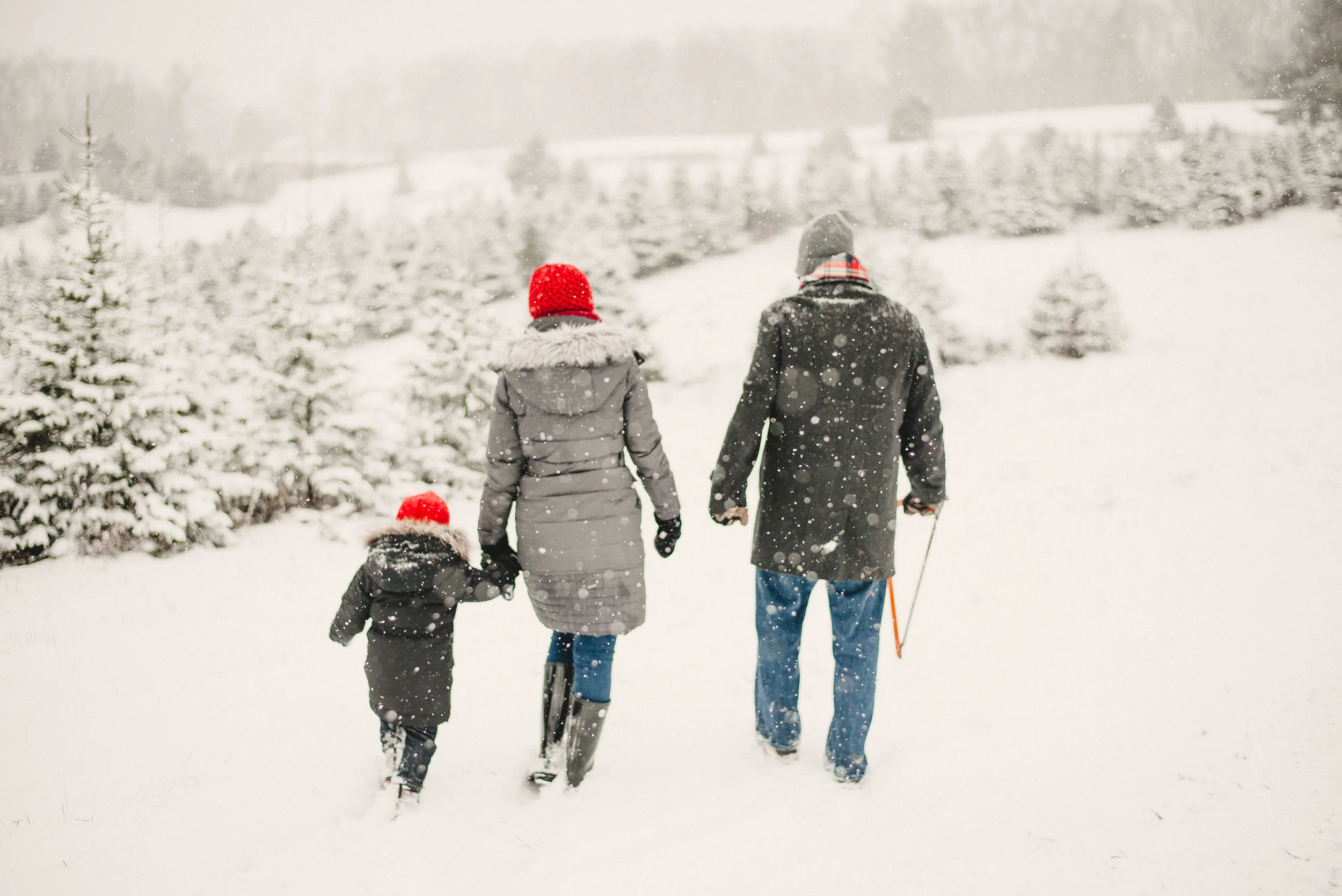 A. Family Nicklas Tree Farm Metamora, MI — Emilee Rose Films