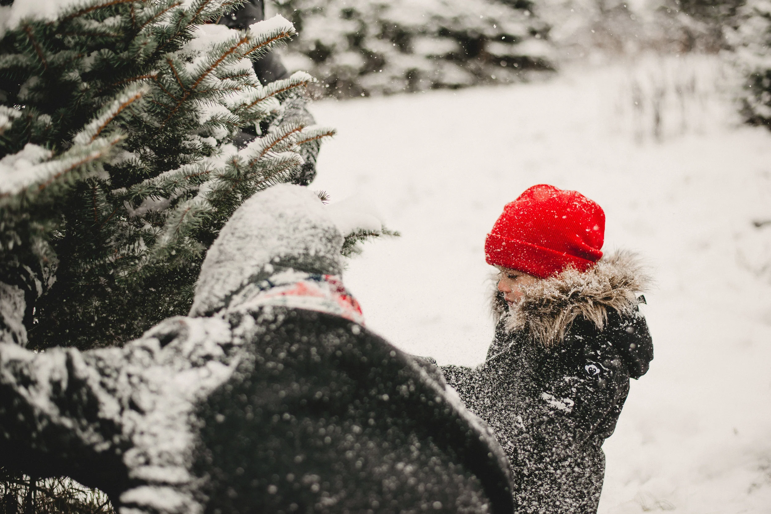 A. Family Nicklas Tree Farm Metamora, MI — Emilee Rose Films