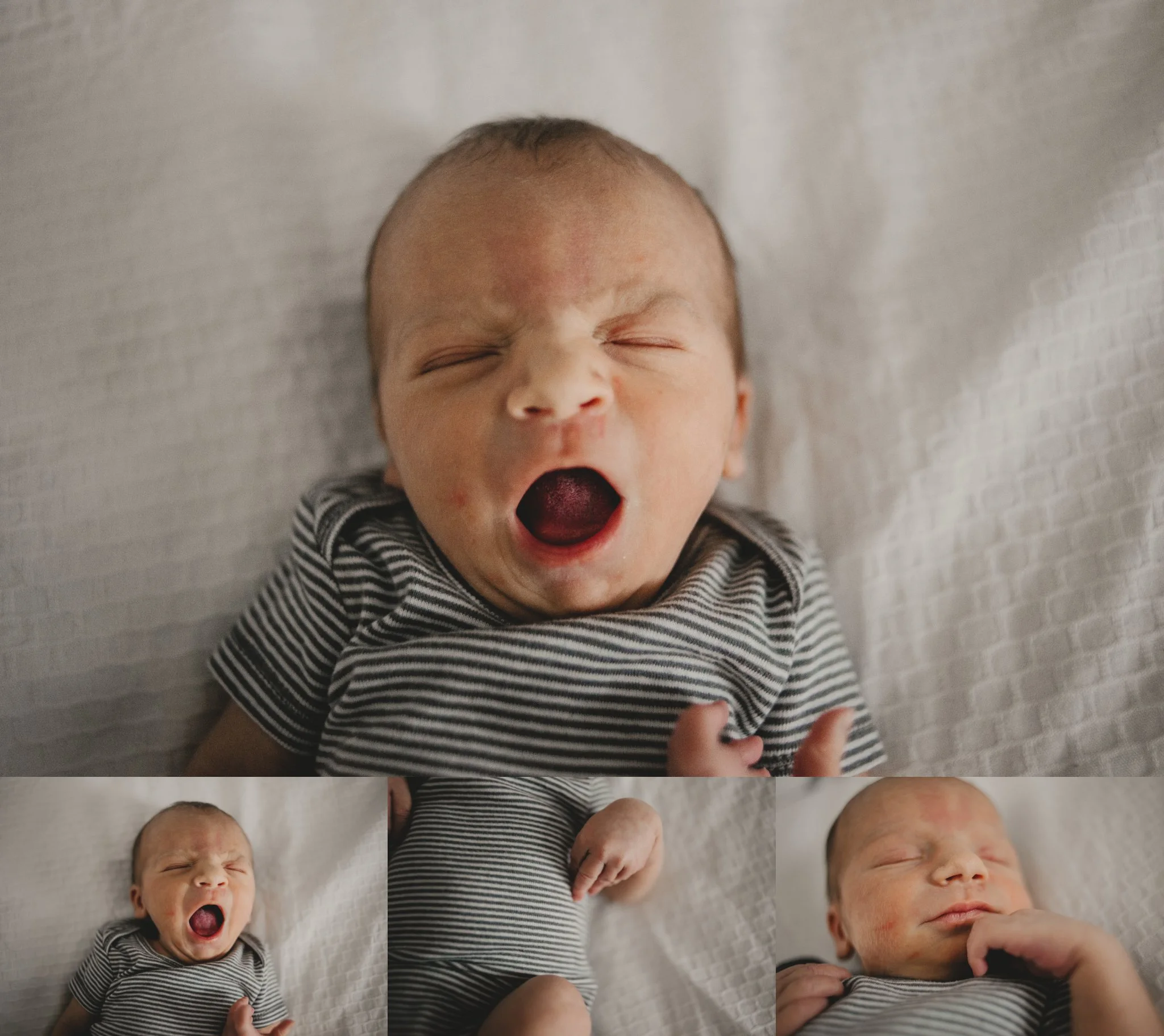 newborn lifestyle photographer for michigan and ohio (2).jpg