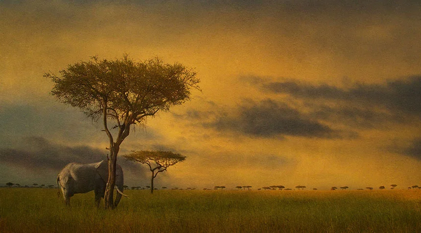 elephant-my world.jpg