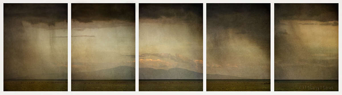 A vertical 5 image pano shot as we left our honey badger den search and started to notice the extent of the storm. The massif in the distance is the Ngorongoro highlands.