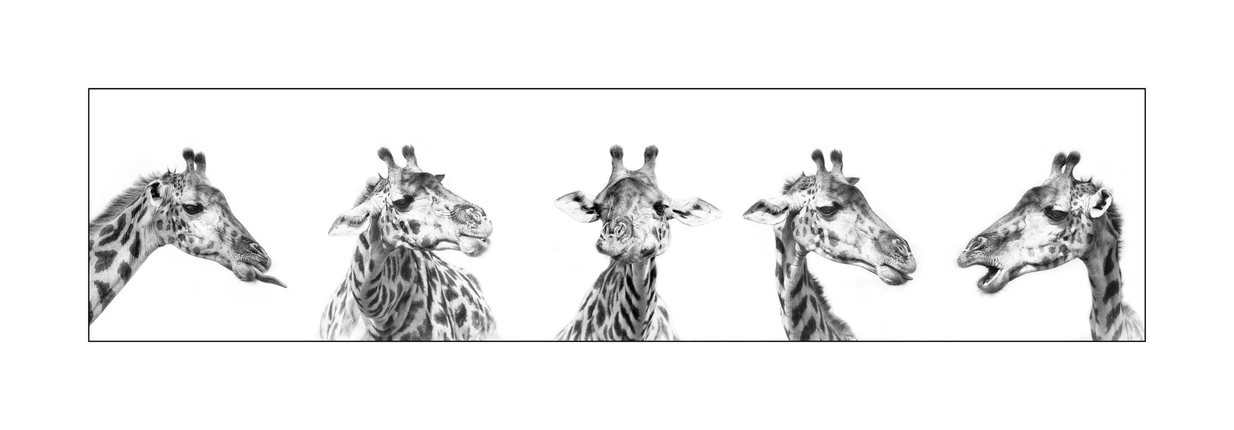 Talking Heads.jpg