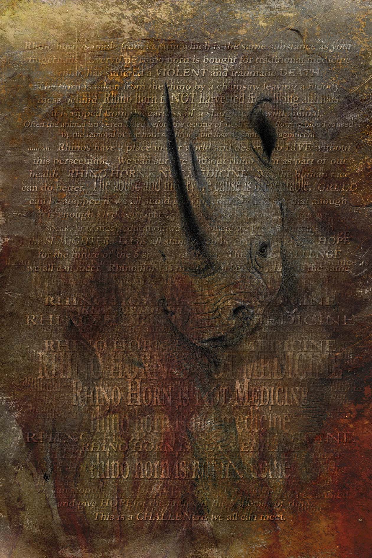 Rhino Horn is not Medicine.jpg