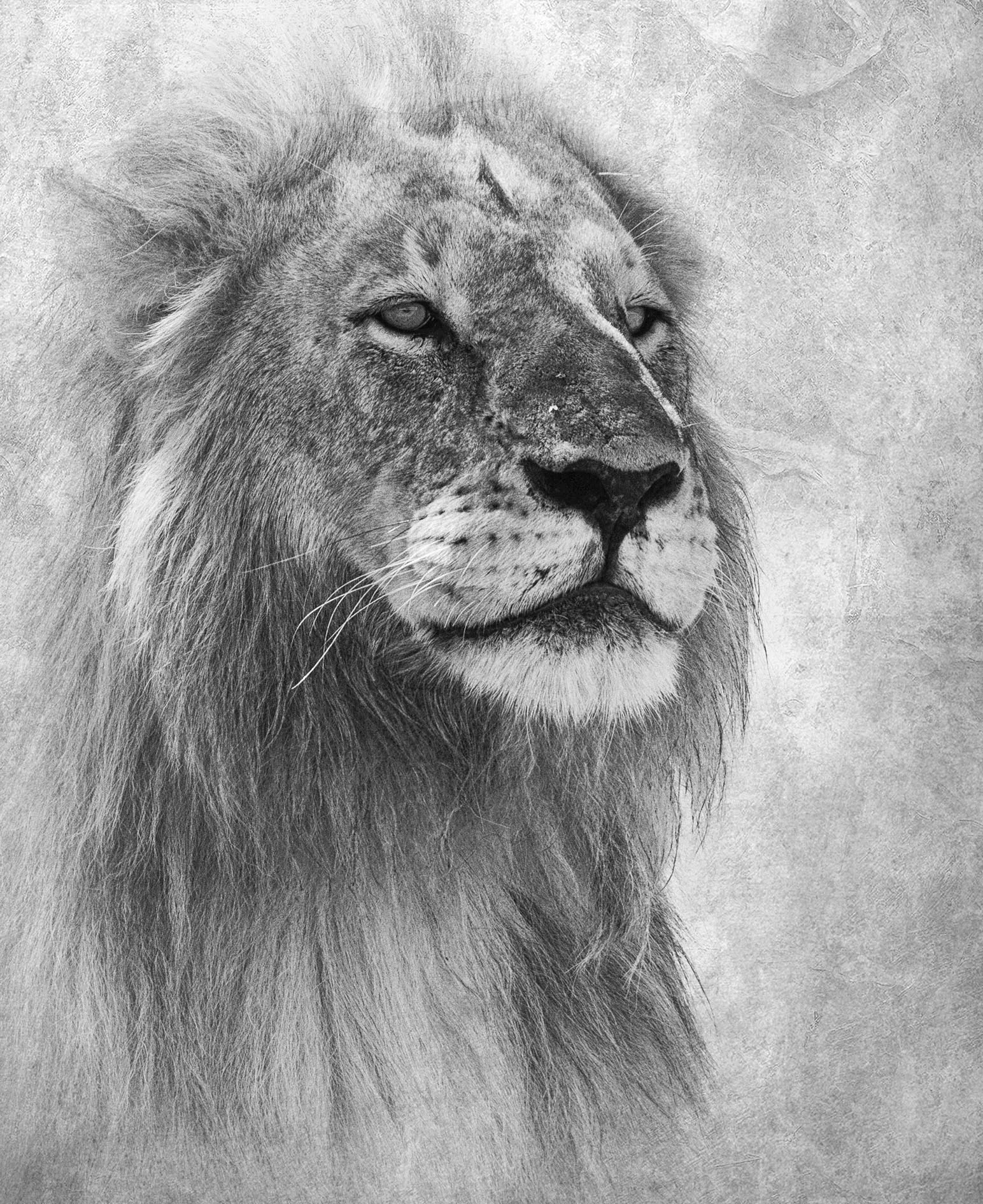 His Majesty.jpg