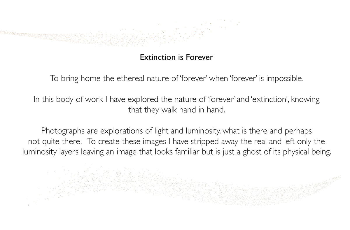 extinction if forever.jpg