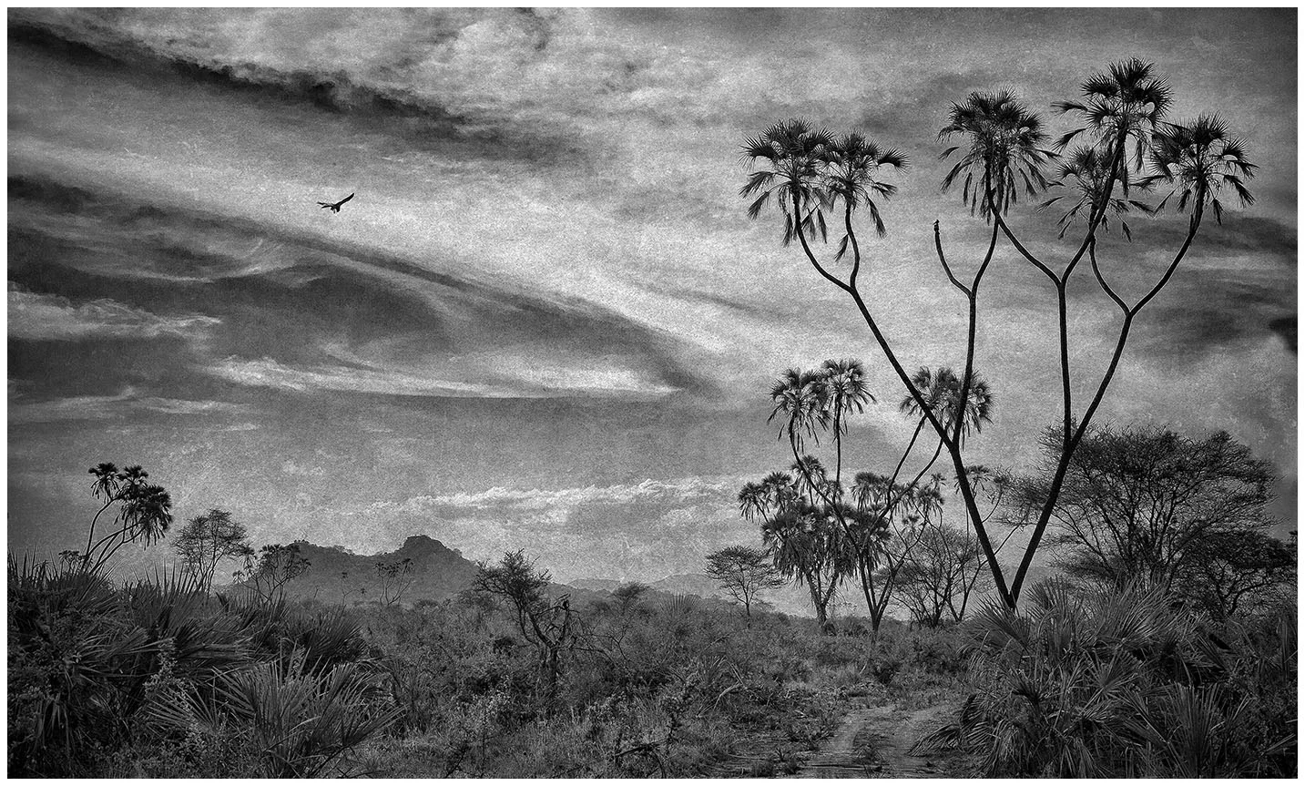 Meru National Park takes you back to a time where pterodactyls fly and dinosaurs roam