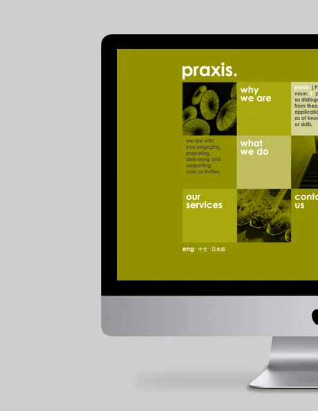 LPC-2013-PRAXIS COVER-1.jpg