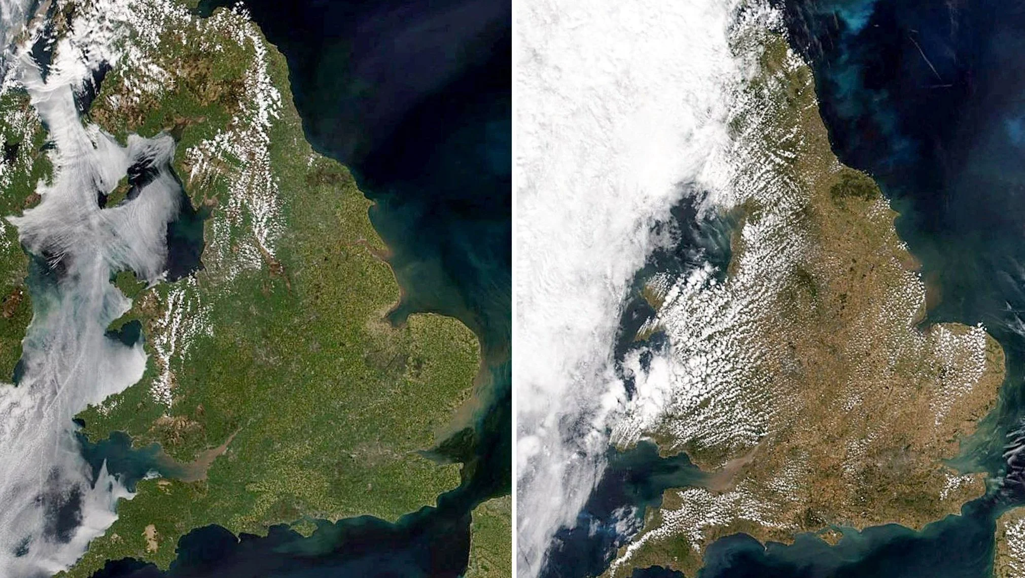Satellite images reveal the true extent of damage the UK’s 2018 heatwave has caused.