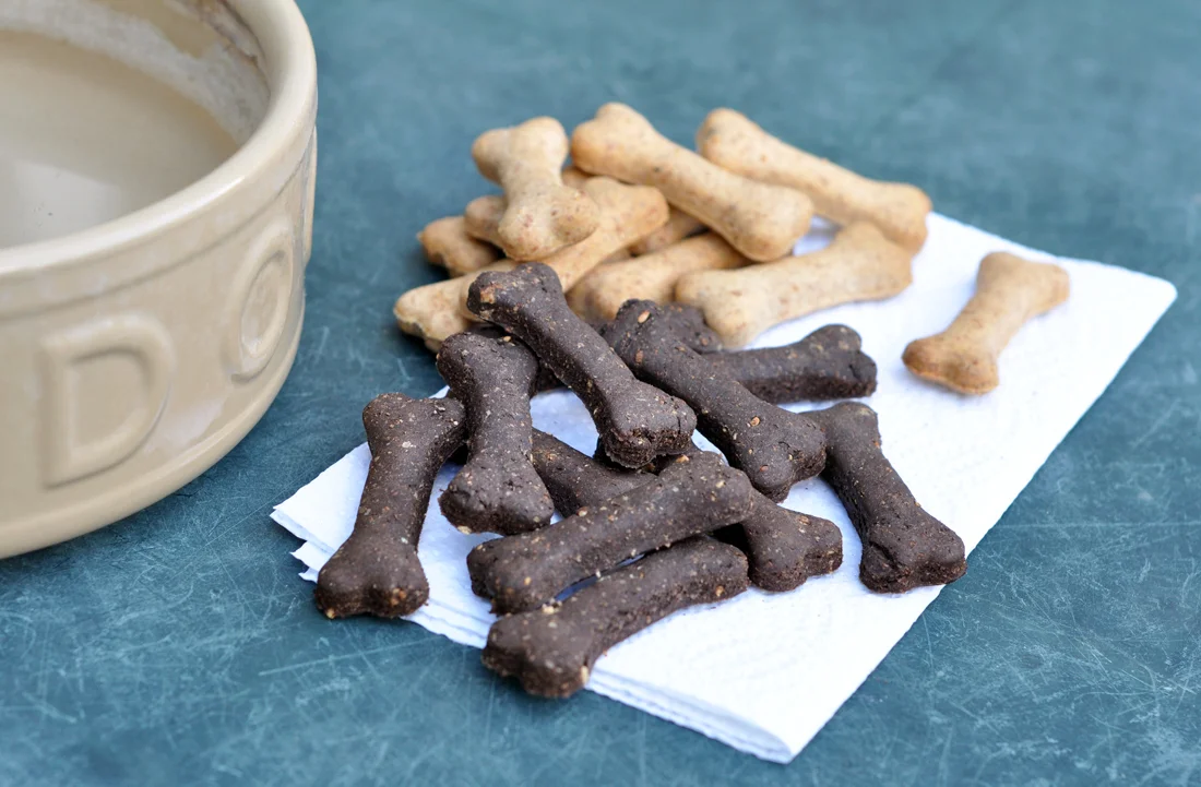 dog bics 5a.jpg