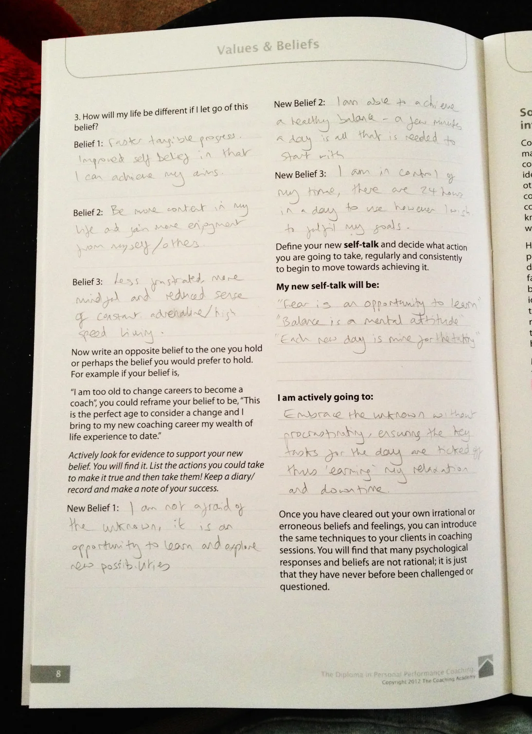 values and beliefs sheet.jpg