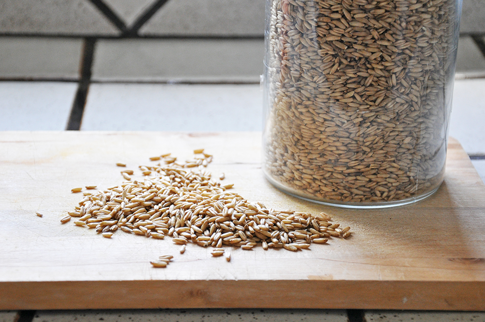 Here are the oat groats in their raw form pre-soaking.