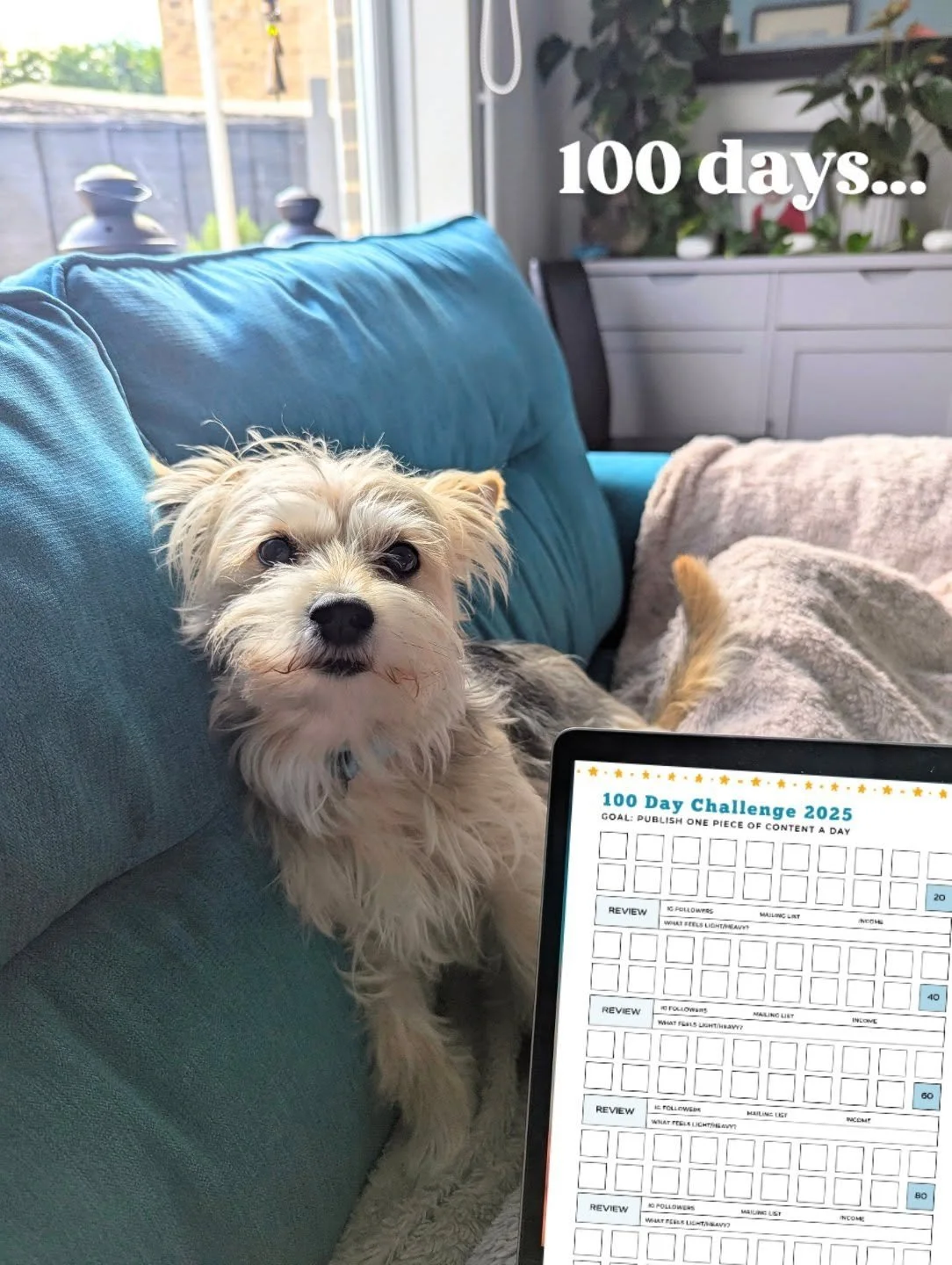 Did you know, today marks 100 days until the end of the year! 

So I wanted to challenge myself to do something consistently everyday between now and the end of the year to help grow my business. 

Full transparency, I first tried this last year and 