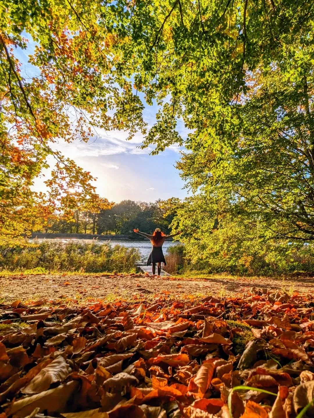 This photo was taken a year ago today at National Trust Blickling Hall in Norfolk, on a beautiful autumnal walk. 

I often talked about walks and hikes alone in nature being my active meditation, the place where the noise in my head settles into some