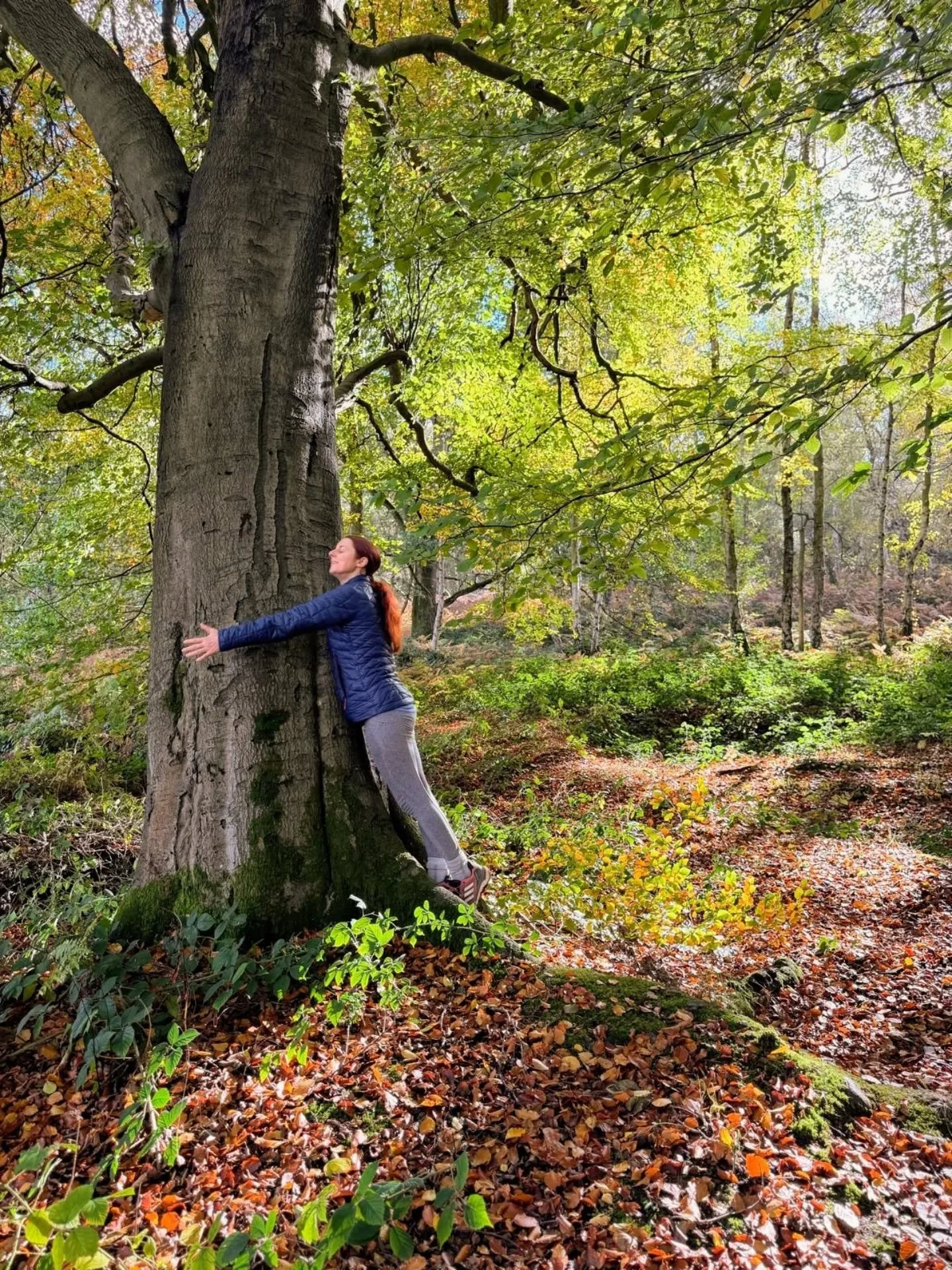 The noticing is where the magic lives - in small details, textures, tree hugs, soft autumn light, beautiful mushrooms and woodland wanders.

Little details from a walk through Ashridge Estate, many of the trees are still quite green, but Autumn magic