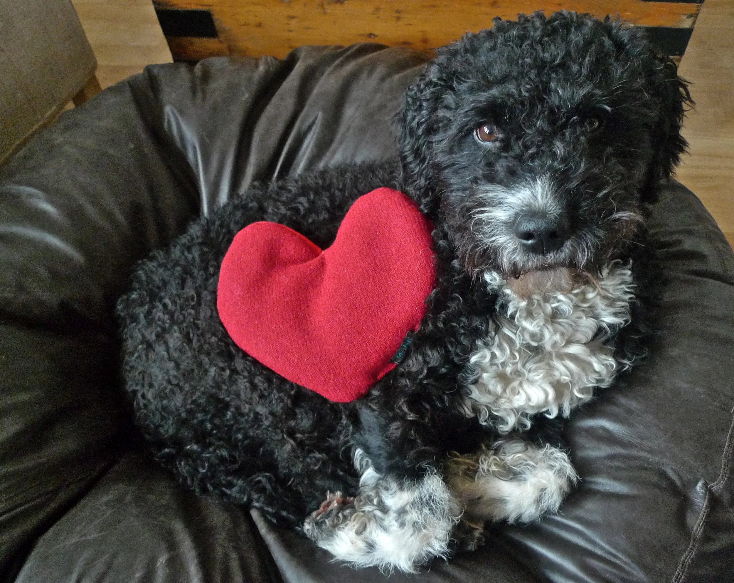 Neo modelling a red Harris tweed heart heat pad