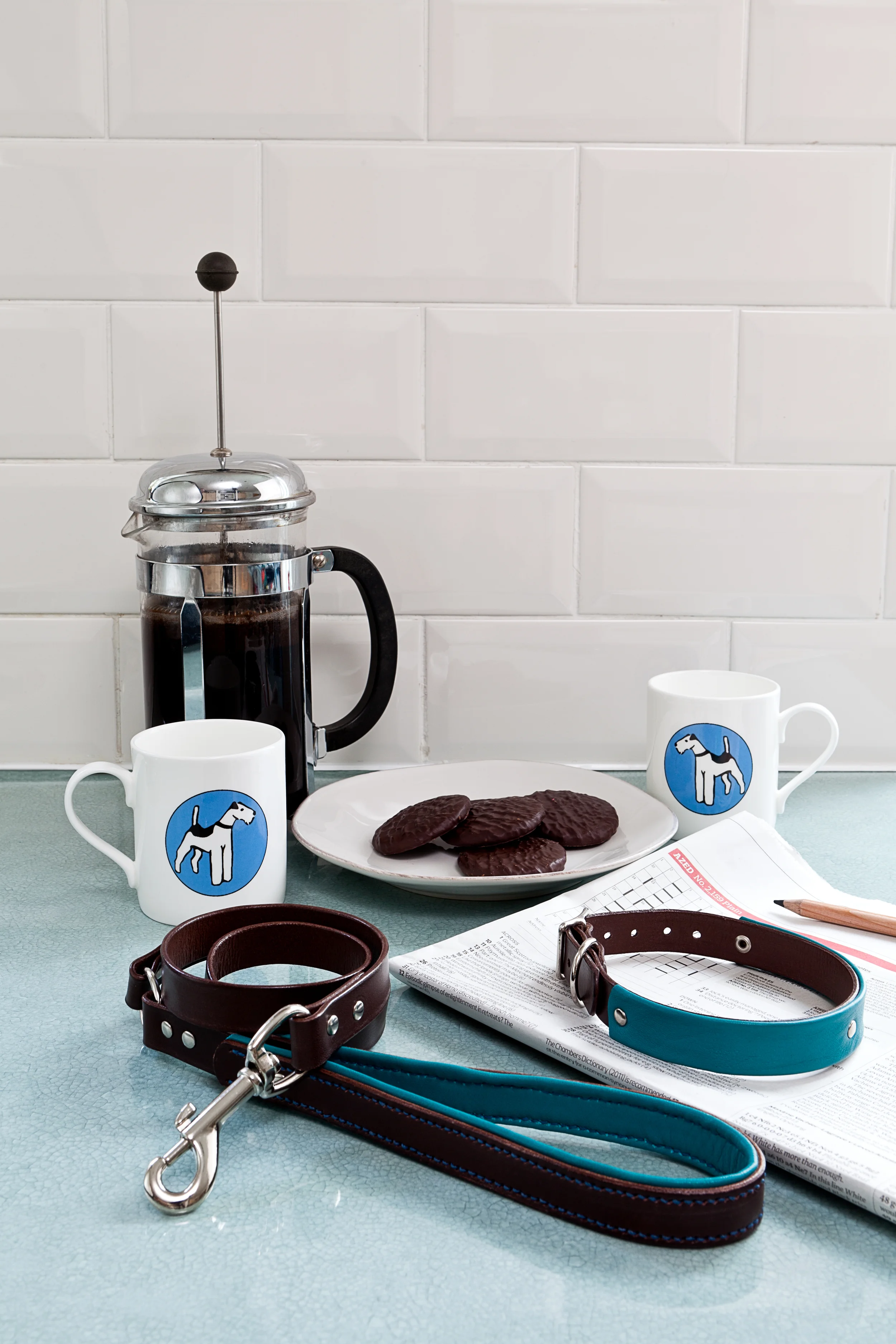 Turquoise and brown leather city collection collar and lead