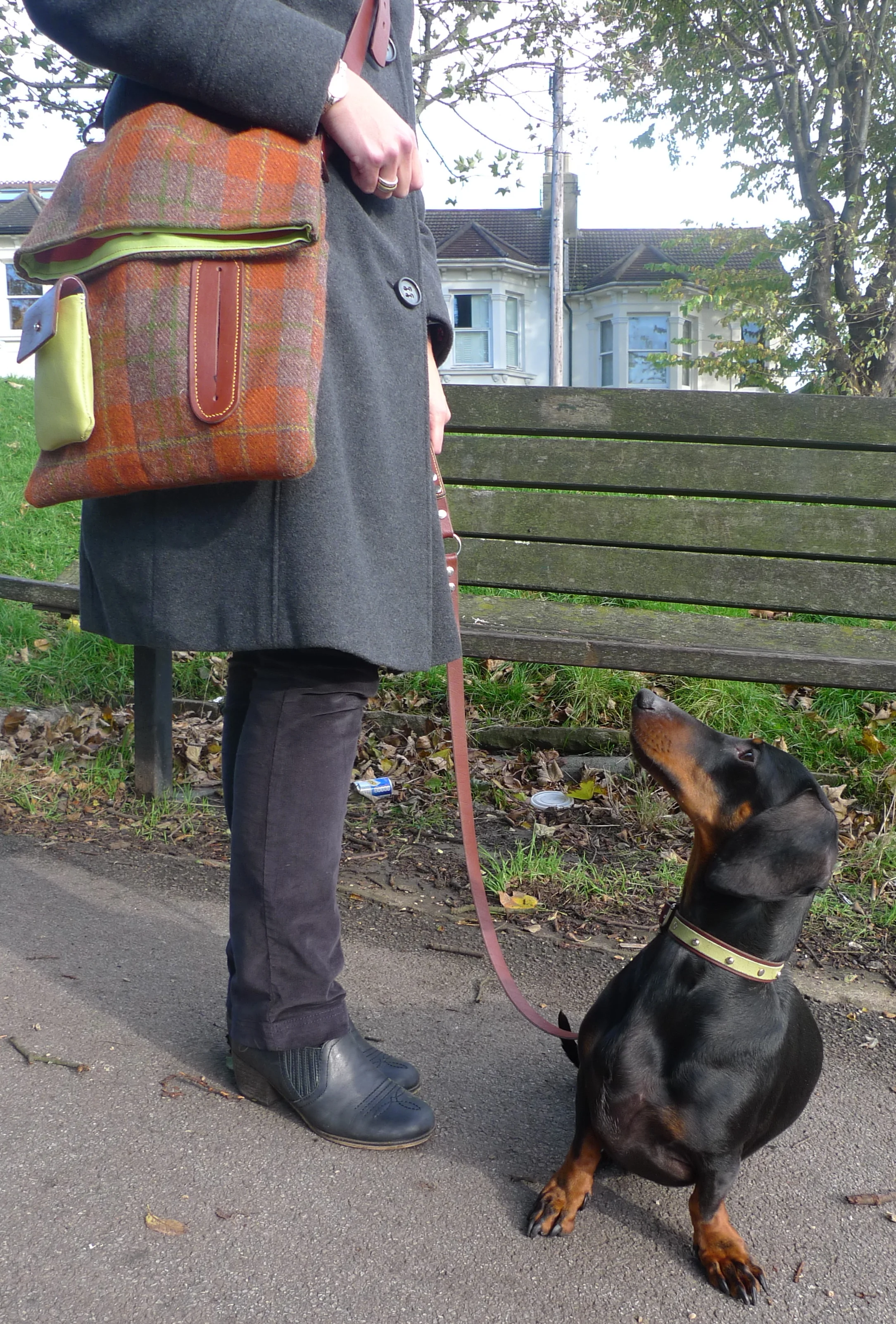 Colour coordinated bag with City collection collar and lead