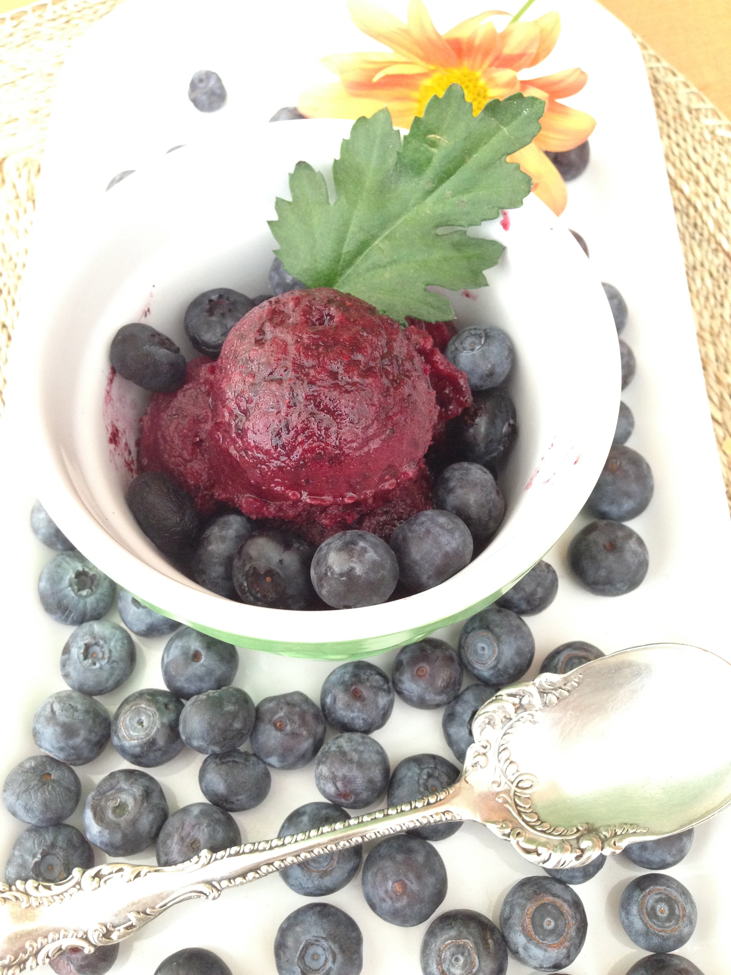 Blueberry Sorbet