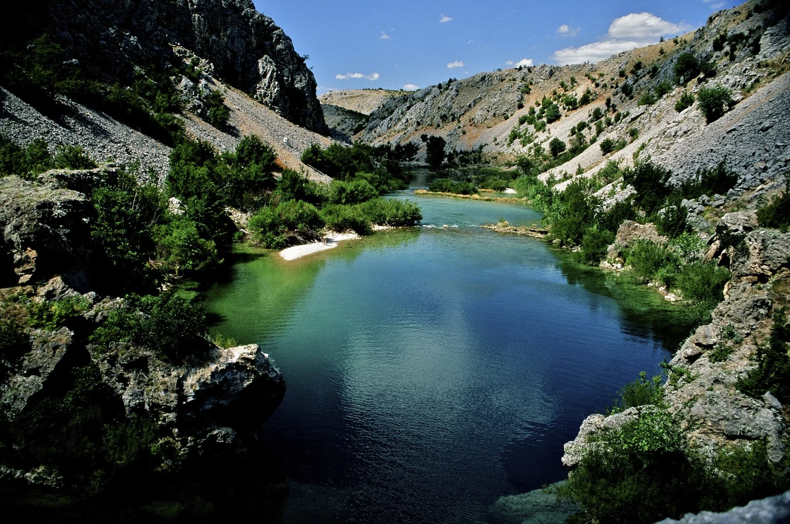 08470012.jpg