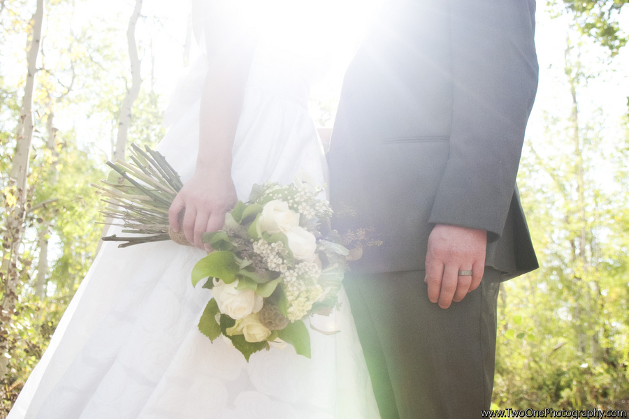 WEDDING GOWN: watters PHOTOGRAPHY: two one photography - anna bé bridal boutique