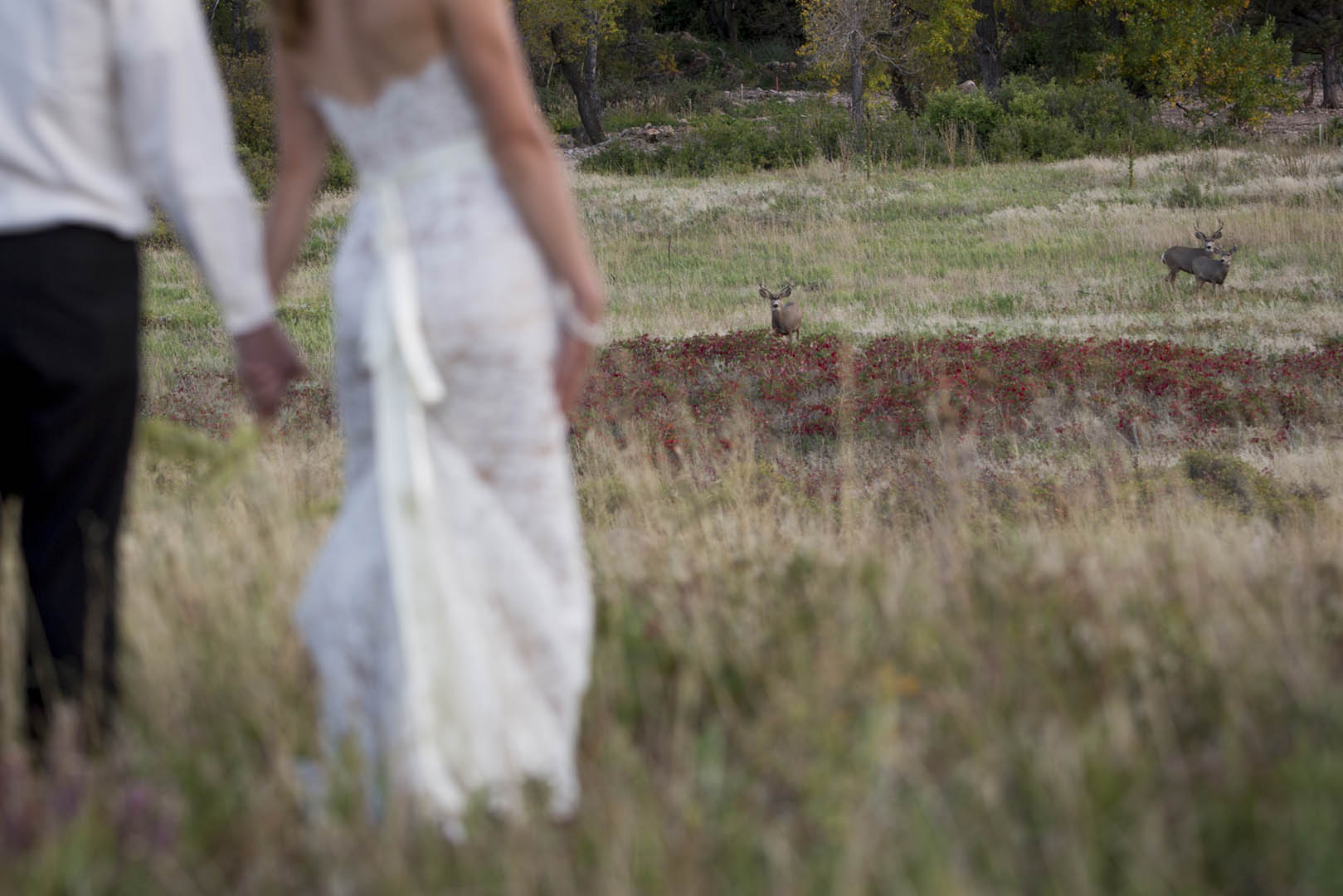 Kestrel_Jacob_Boulder_Wedding_14.jpg