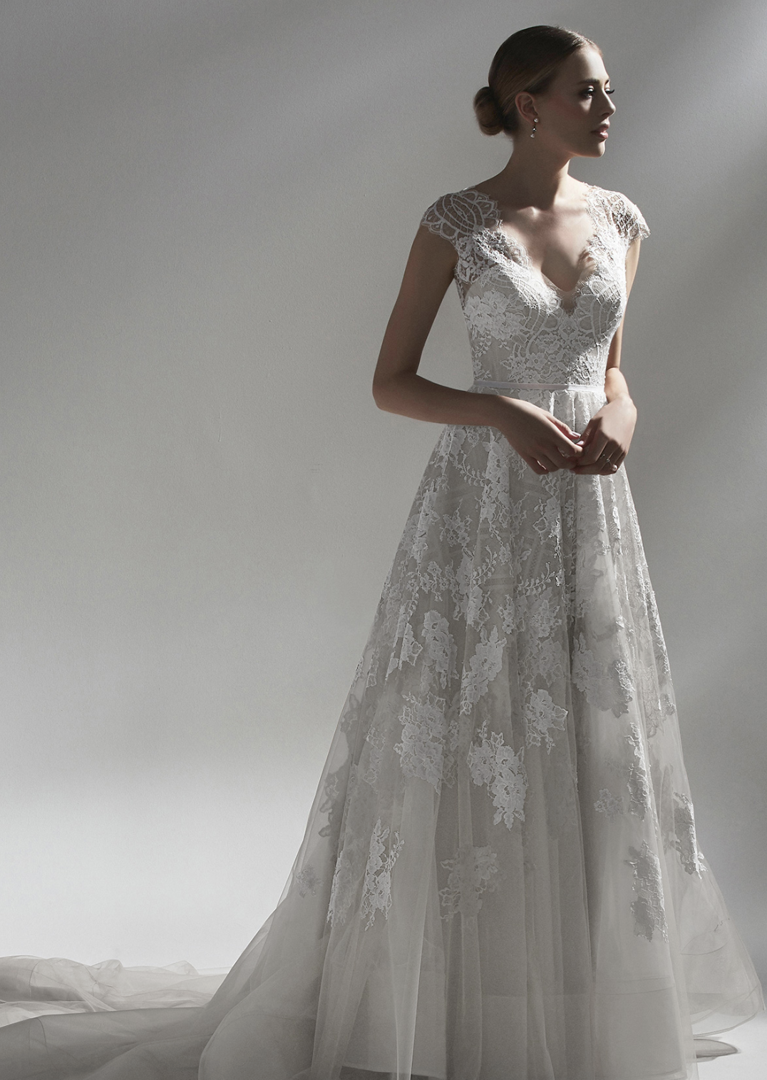 extended plus size wedding dresses