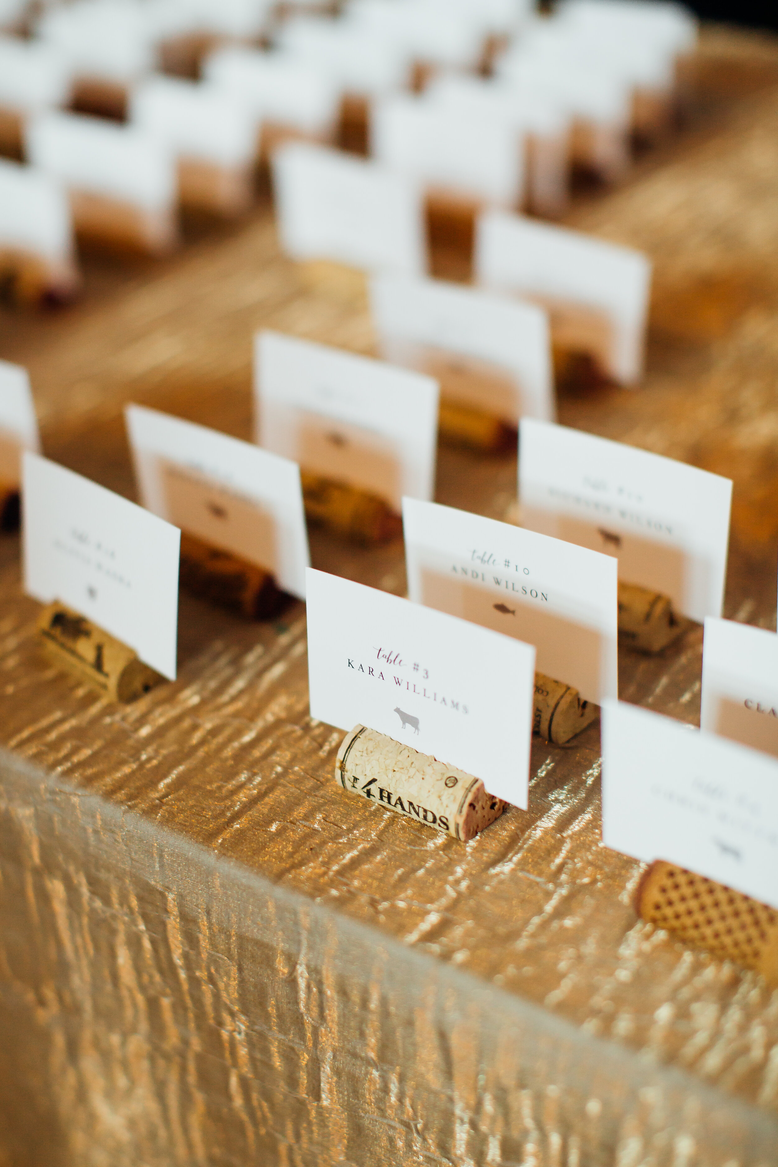 Anna_Colt_Reception-4.jpg