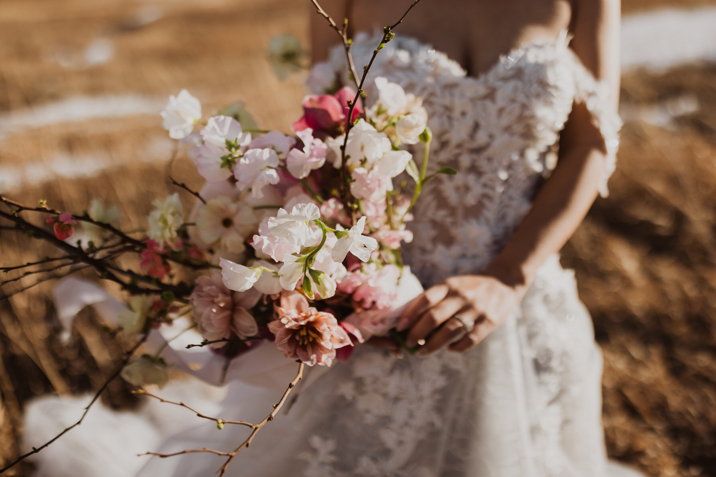  Colorado mountaintop styled elopement in Dany Tabet Flora wedding dress 