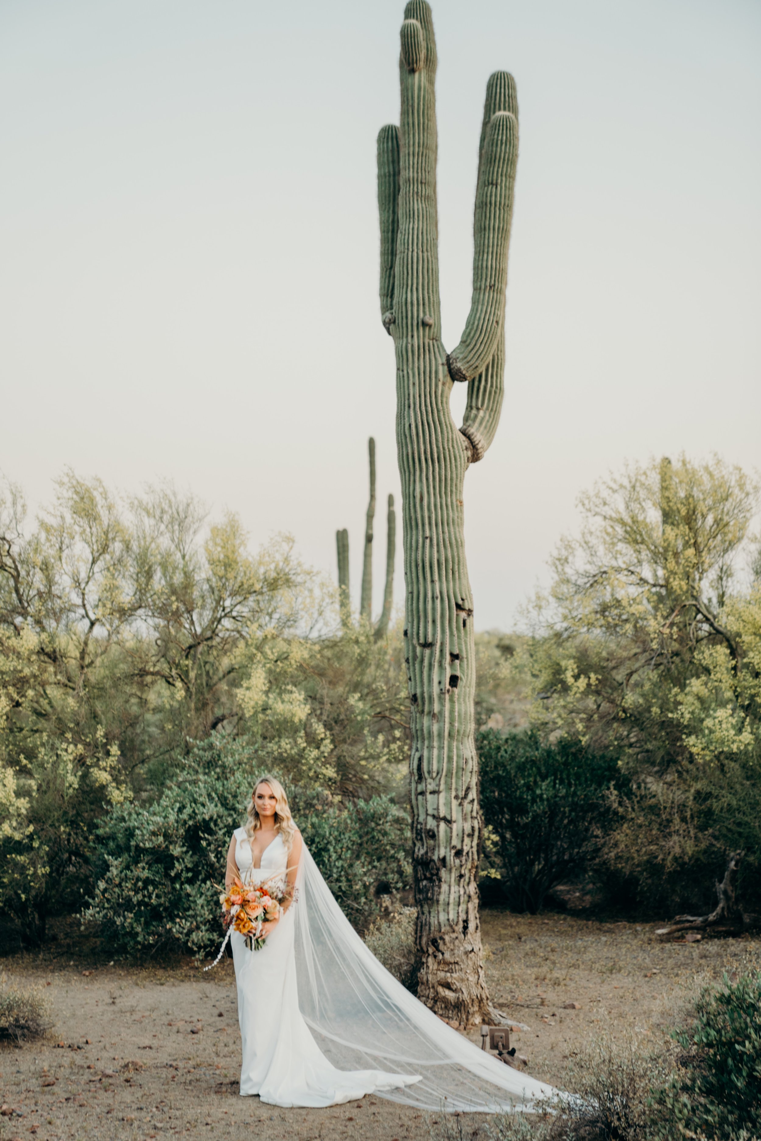 a bridal portrait next to a saguaro cactus in scottsdale, arizona in the desert.