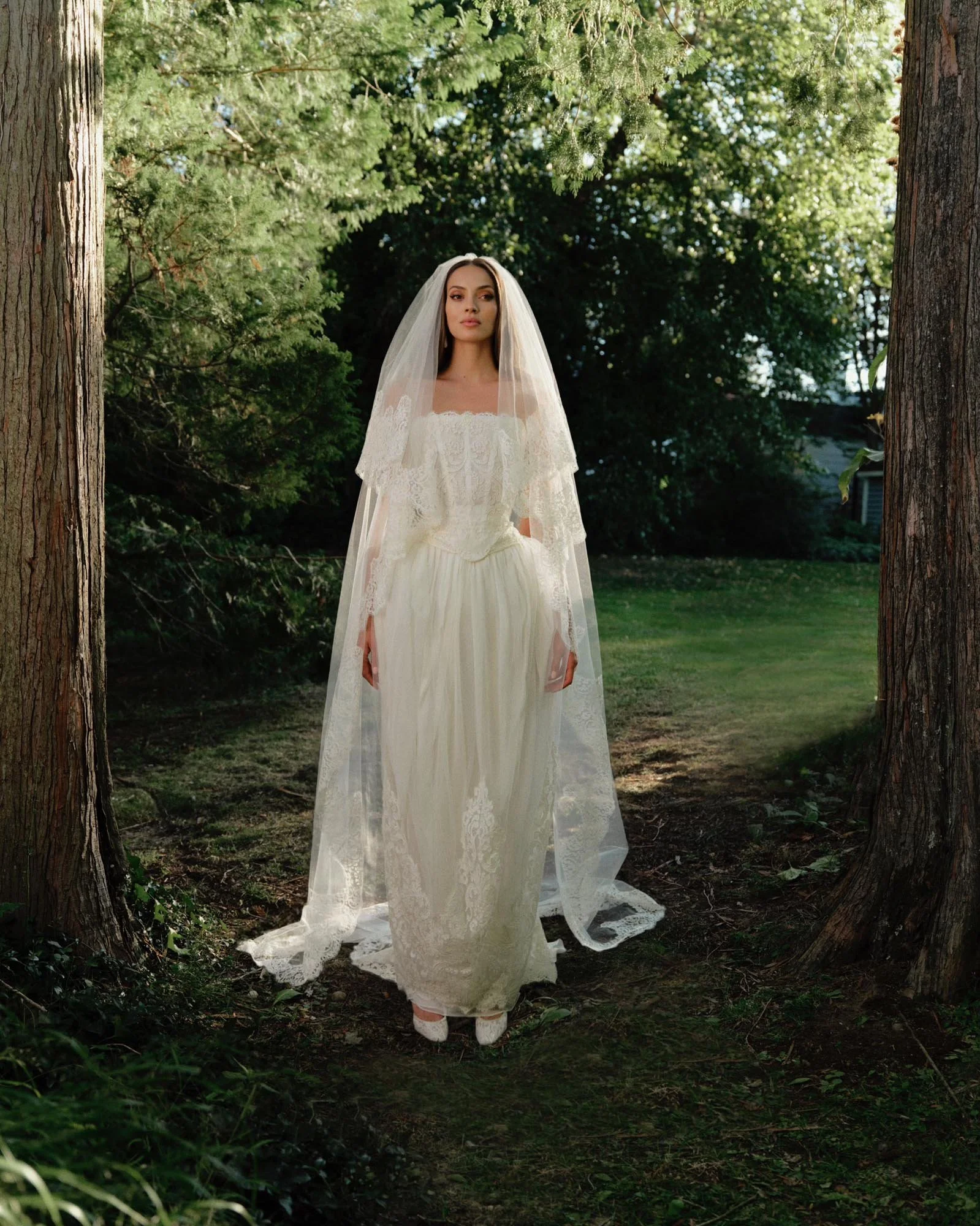 Seline Meisler — coming soon