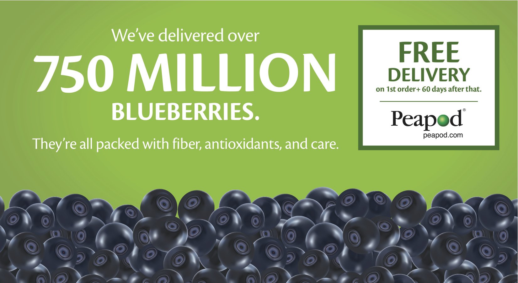 Blueberries.jpg