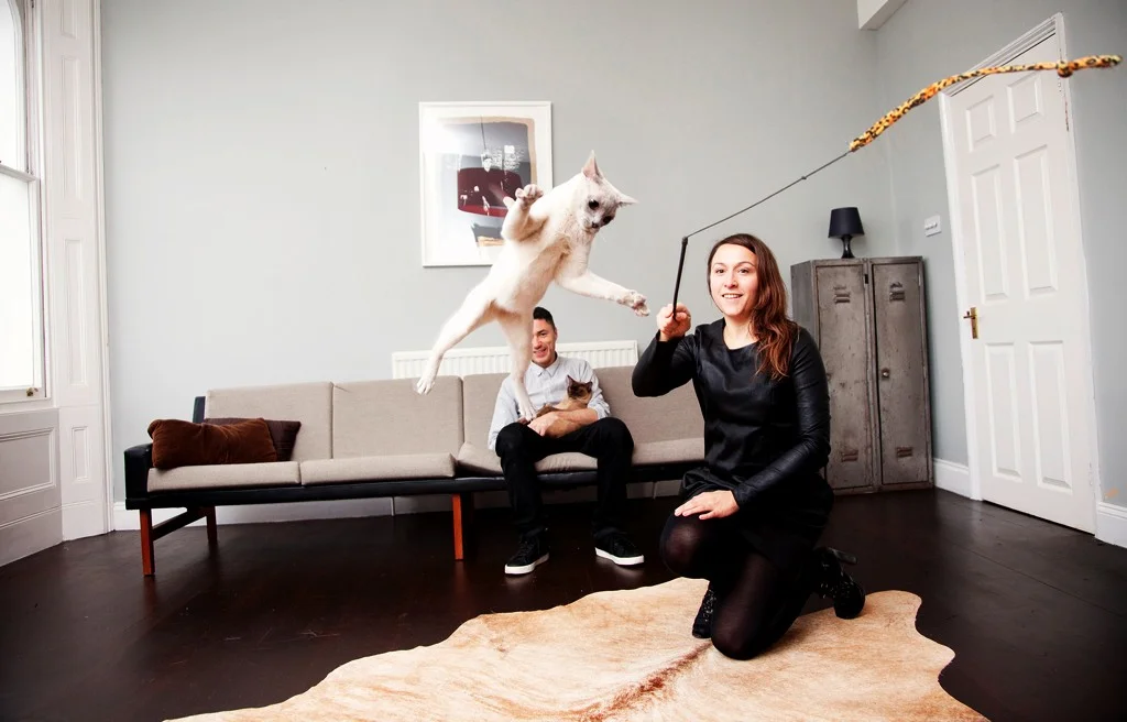flyingcatandlocker