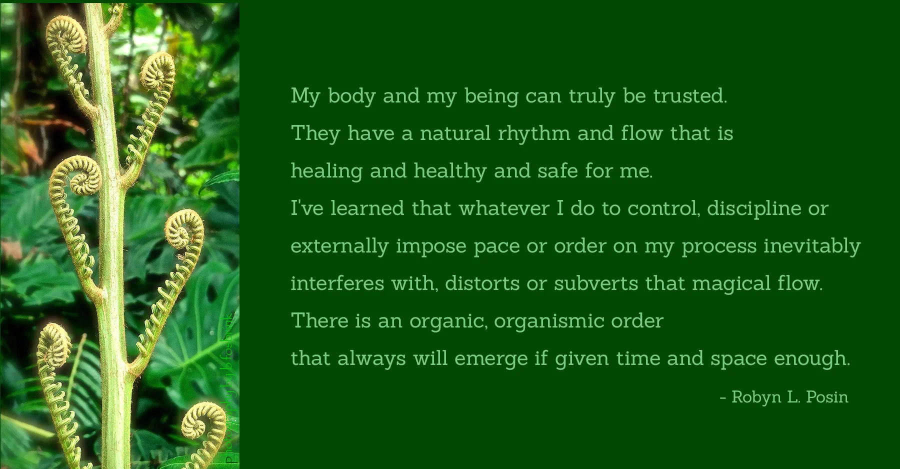BodyTrusted.jpg
