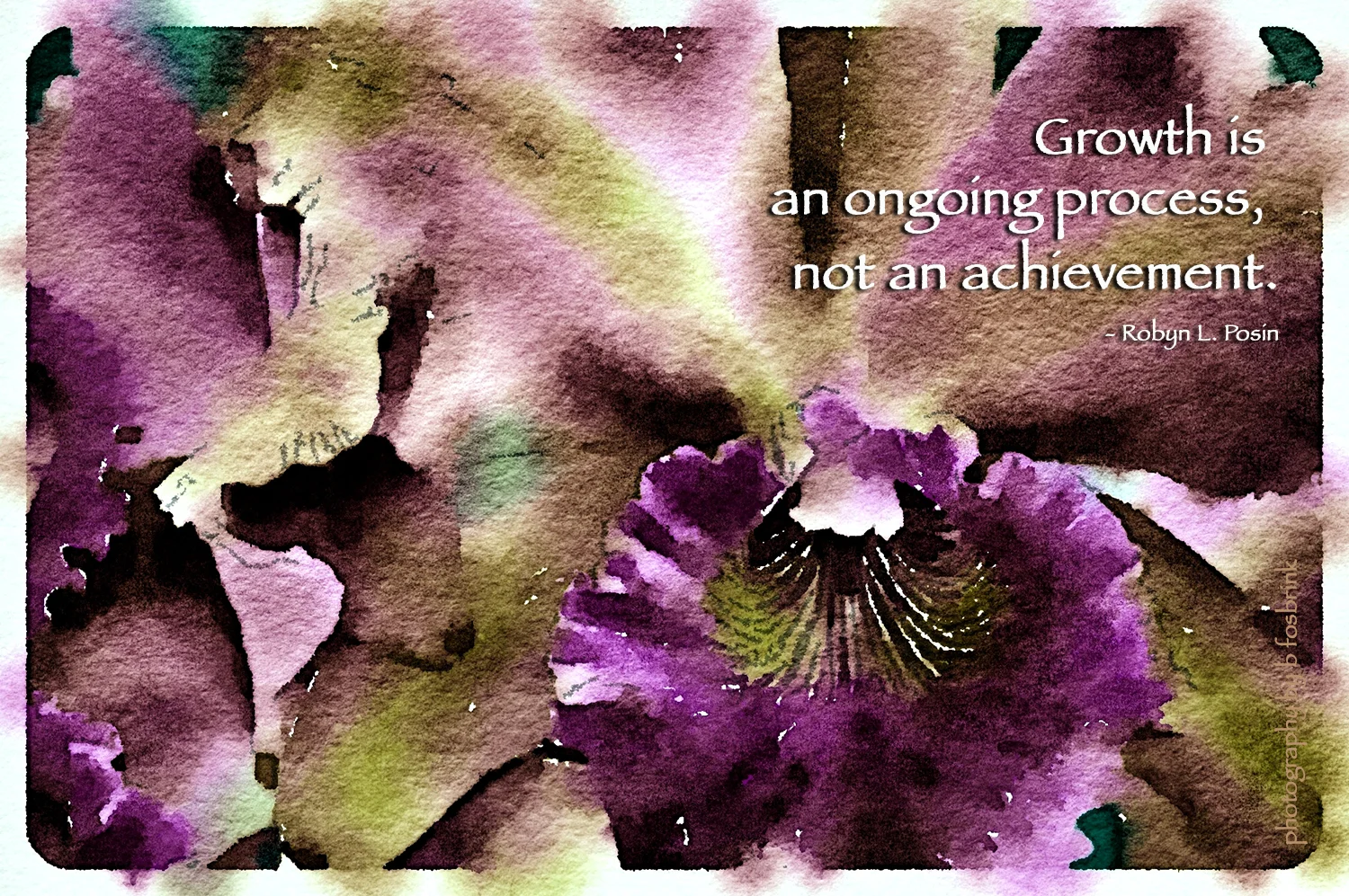 iris2_growth.jpg