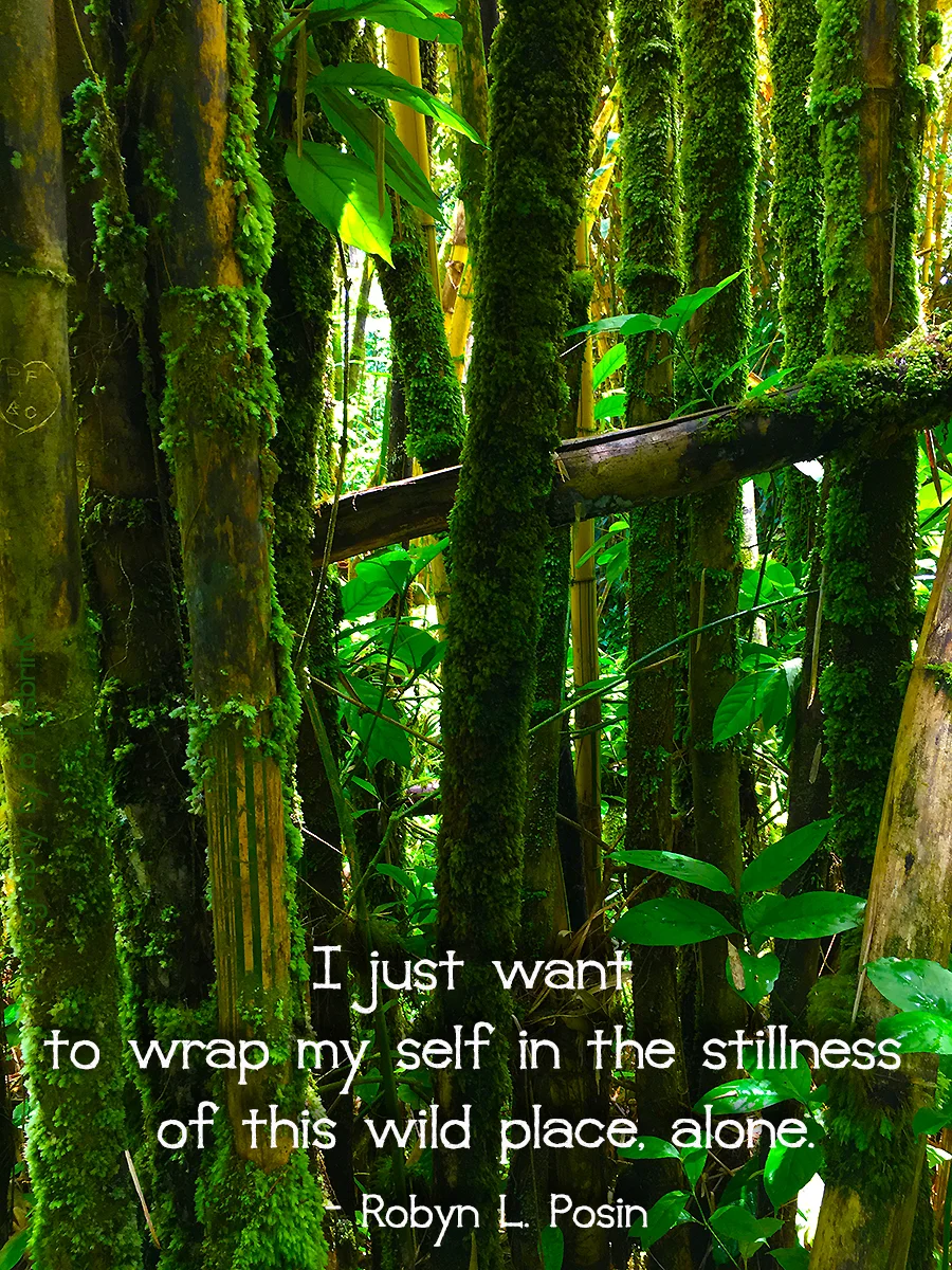 Stillness.jpg