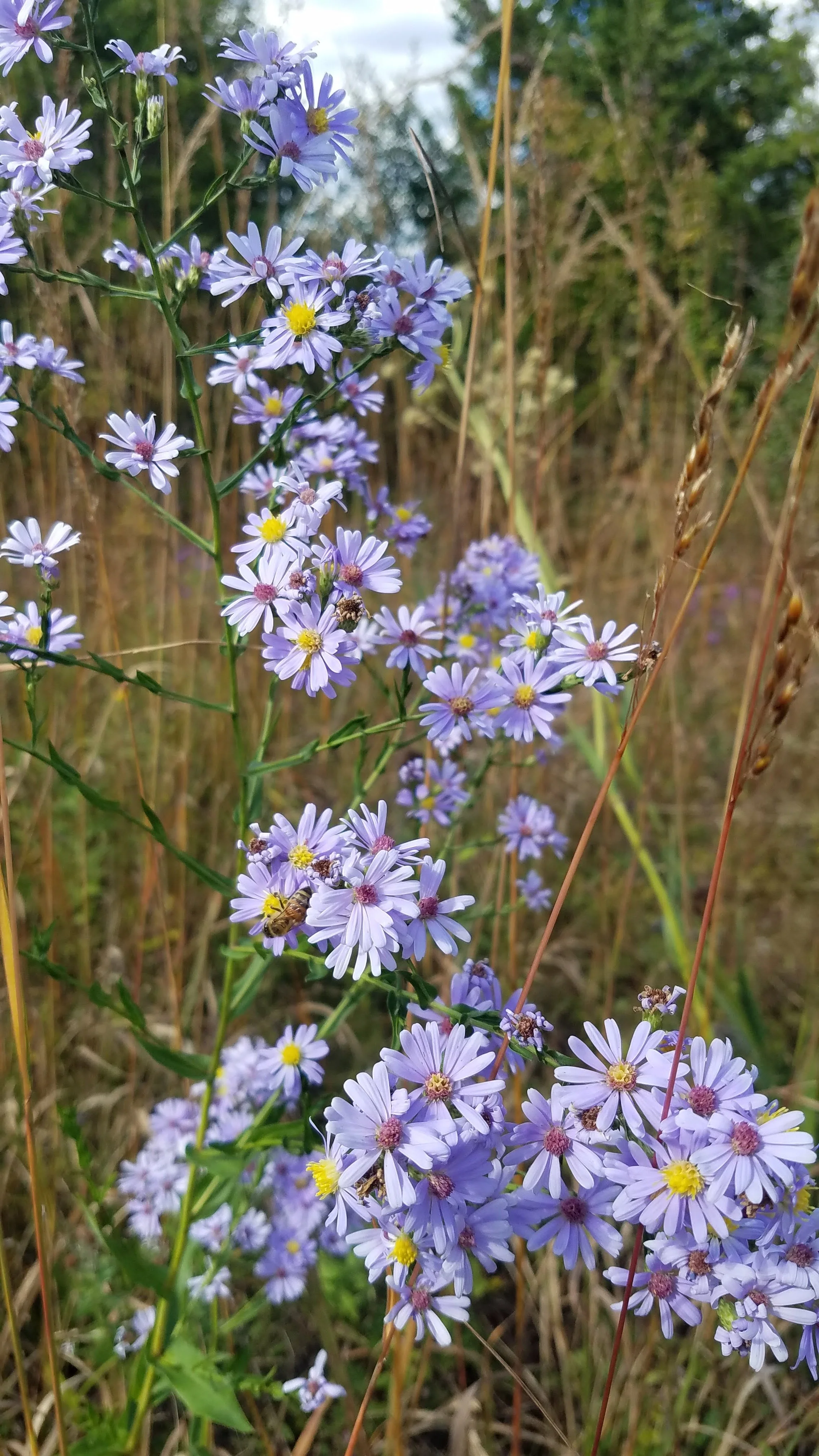 20210929_142508 (1).jpg