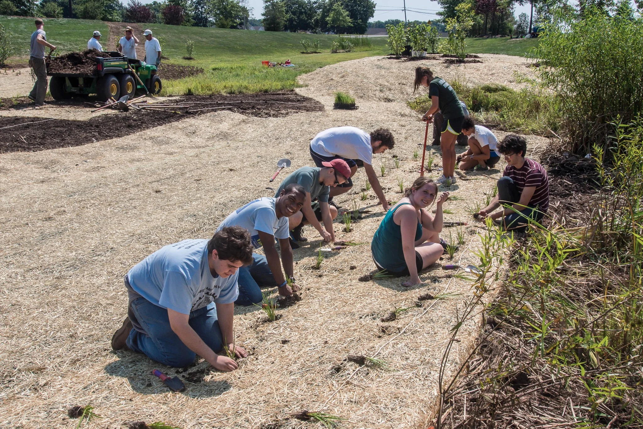 VINEYARDS BASIN PLANTING