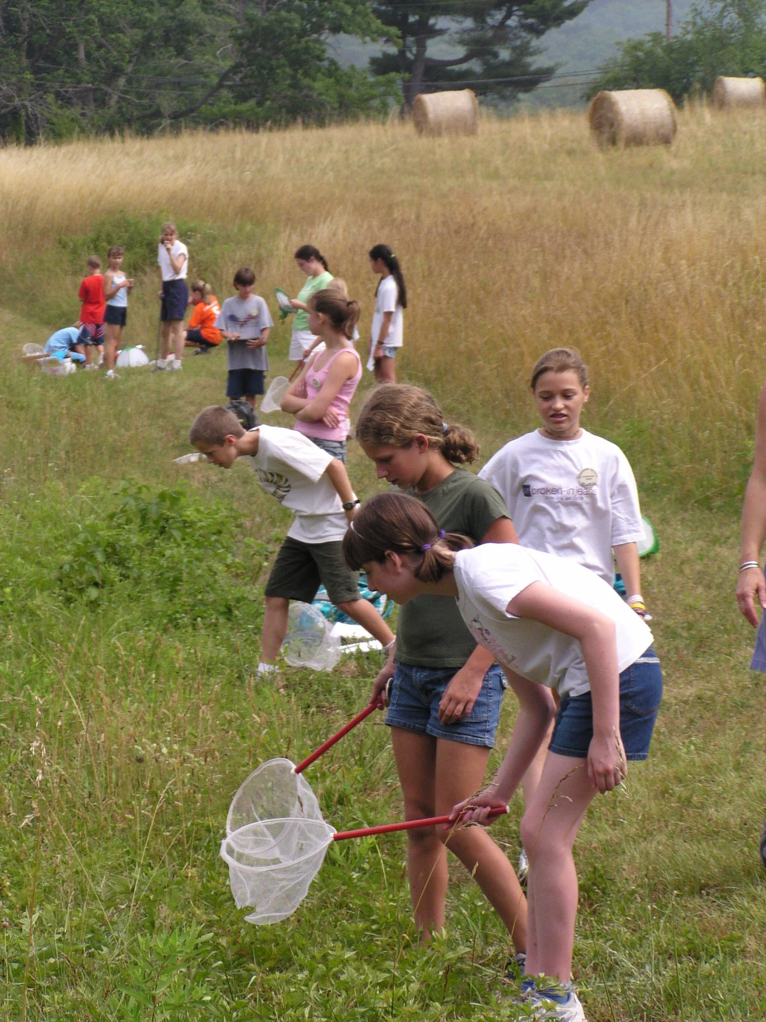 Field Habitat.jpg