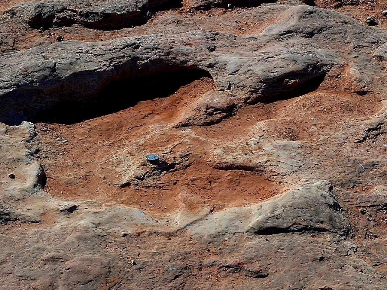 dinosaur-tracks-north-of-flagstaff.jpg