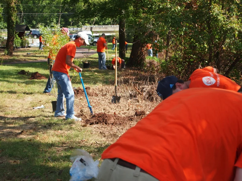 planting trees to help manage stormwater